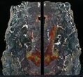 Jasper Replaced Petrified Wood Bookends - Oregon #22782-1